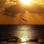 Al Pensamiento poemas Al Pensamiento poemas