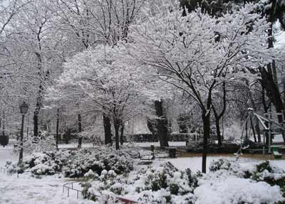 “Nieve Nocturna” Poemas