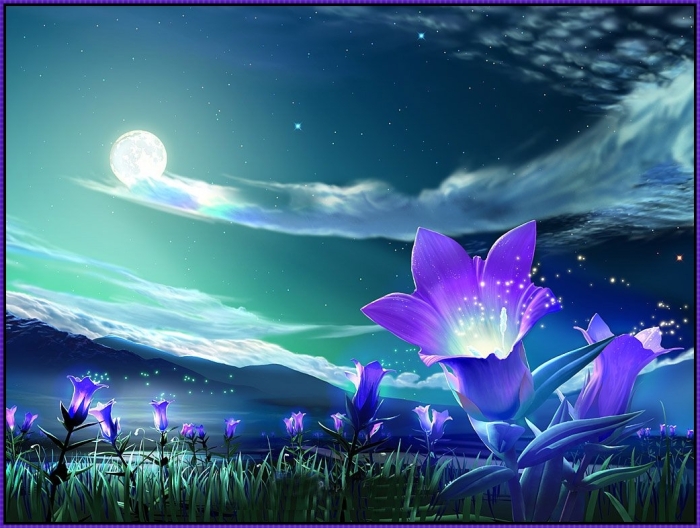 “Midnight Dreams” Poemas