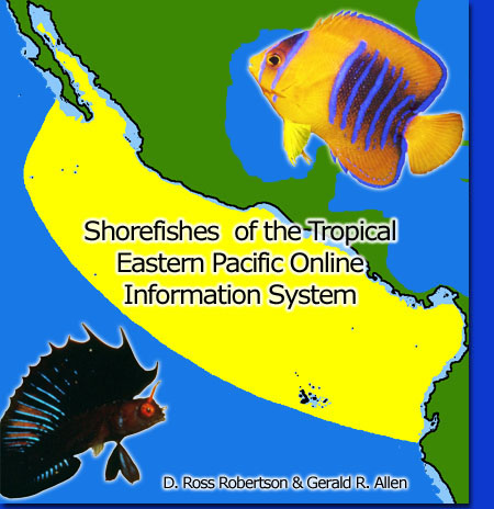 Acuario Virtual con más de 1300 especies Acuario Virtual con más de 1300 especies