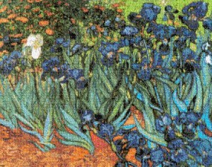 Dos meditaciones Poemas