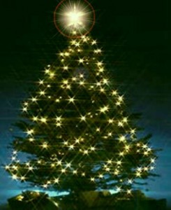 Sobre La Navidad Frases Célebres