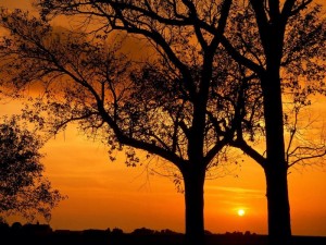 "El instante es el camino" Poemas "El instante es el camino" Poemas