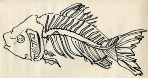 Dibujos para colorear de esqueletos de humano y animales Dibujos para colorear de esqueletos de humano y animales
