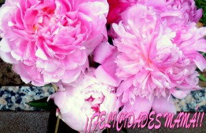Recopilación de Tarjetas y Postales para el Día de las Madres