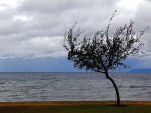Sobre la verdad - Frases Célebres