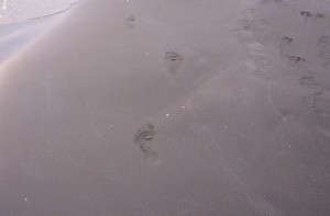 "Este amor no te mira para hacerte durable" Poemas