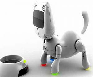 El robot gato es una buena mascota para los ancianos El robot gato es una buena mascota para los ancianos