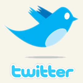 El ataque de DoS a Twitter iba dirigido a un blogger