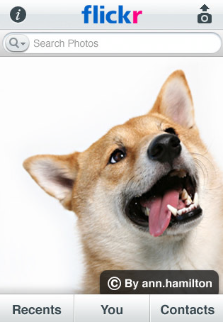 Flickr en tu iPhone