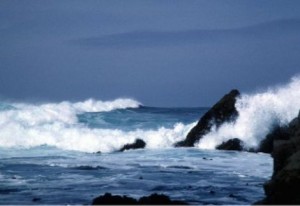 "El mar sigue adelante" Poemas "El mar sigue adelante" Poemas