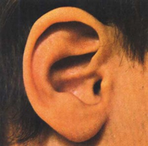 El volumen de los MP3 podría dañar en forma irreversible el oído El volumen de los MP3 podría dañar en forma irreversible el oído
