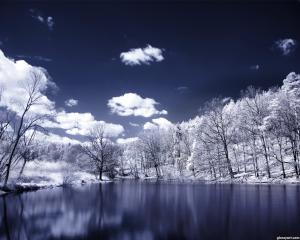 Los mejores wallpapers de Invierno