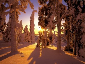 Los mejores wallpapers de Invierno