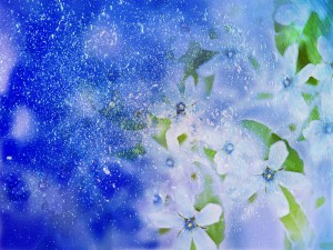 Los mejores wallpapers de Invierno