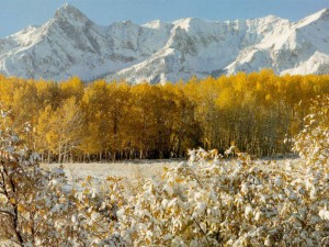 Los mejores wallpapers de Invierno