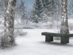 Los mejores wallpapers de Invierno