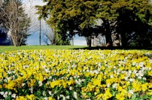 "Canto de Primavera" Poemas