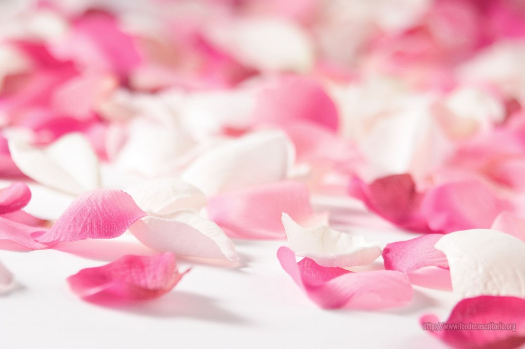 Recopilacion de wallpapers para el Día de San Valentín