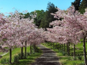 Sobre la Primavera - Frases Célebres Sobre la Primavera - Frases Célebres