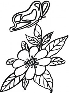 Recopilación de dibujos para colorear de la Primavera Recopilación de dibujos para colorear de la Primavera