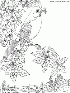 Recopilación de dibujos para colorear de Primavera Recopilación de dibujos para colorear de Primavera