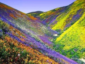 Sobre la Primavera - Frases Célebres