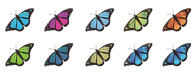 Imágenes de mariposas en vectores Imágenes de mariposas en vectores