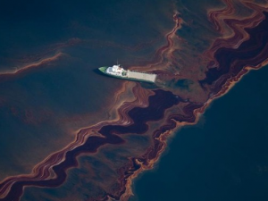 Golfo de México: Daños impredecibles por el derrame de la BP Golfo de México: Daños impredecibles por el derrame de la BP