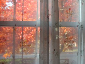 "Cómo me vas a explicar..." Poemas "Cómo me vas a explicar..." Poemas