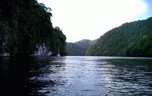 Sobre la poesía - Frases Célebres