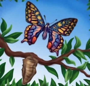 Mariposas1 Poema VI de Shakir Wa´el - Poemas