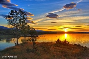 Amanecer Sobre la vida - Frases Célebres