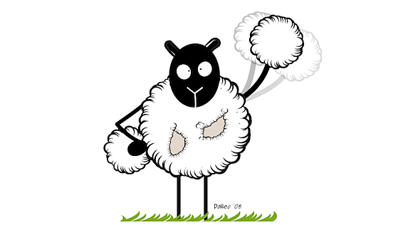 HollySheep diseño y humor con ovejas